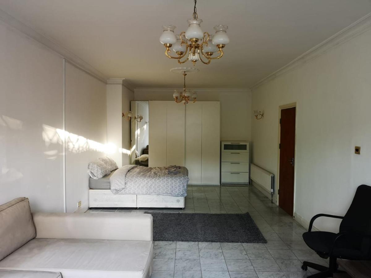 لندن Large Spacious Property In Zone 2 المظهر الخارجي الصورة